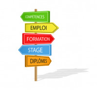 Insertion professionnelle de la jeunesse
